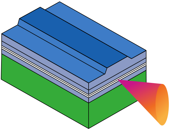 香港六家宝典资料大全
