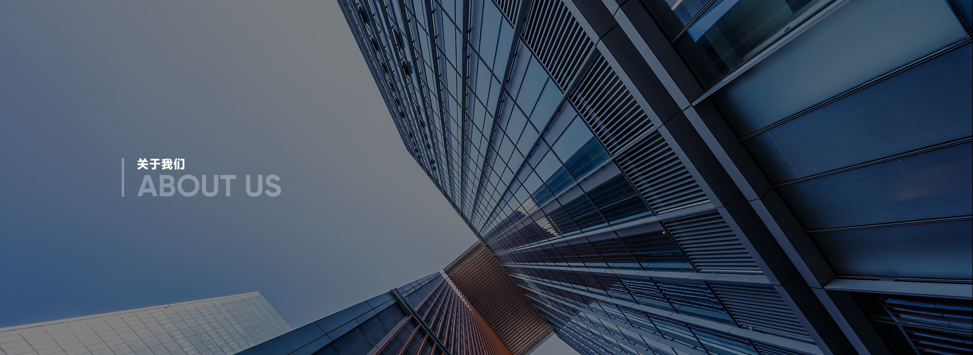 香港六家宝典资料大全