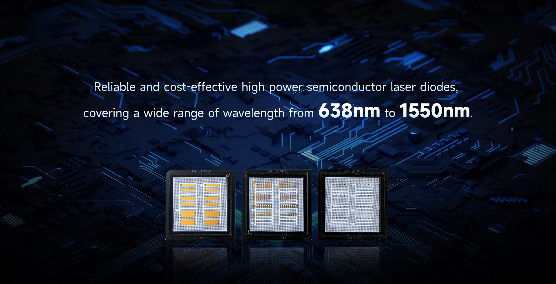 香港六家宝典资料大全